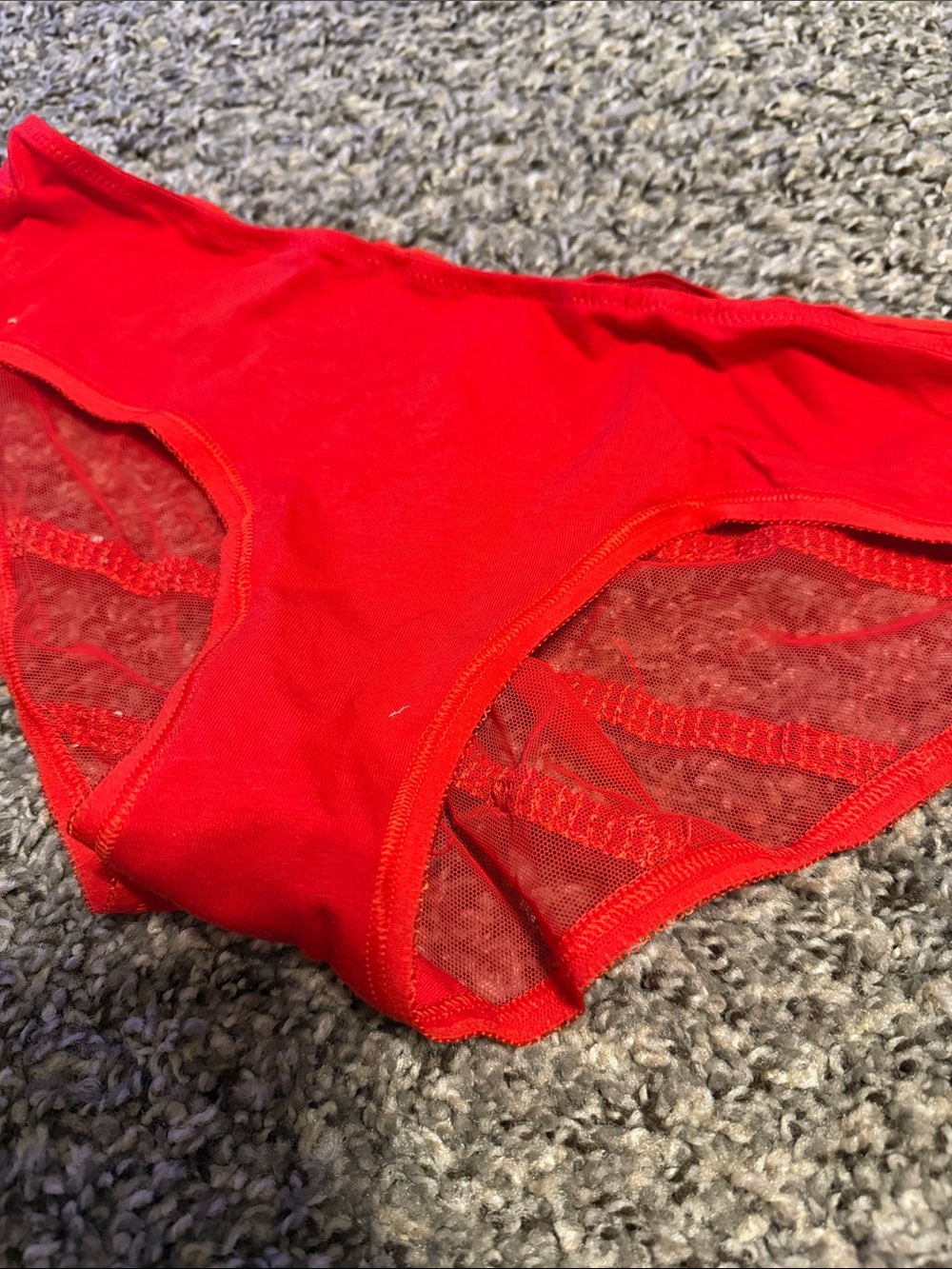 Victoria's Secret Red Lace & Mesh Bikini Panty